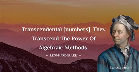 Now I Will Have Less Distraction Leonhard Euler Quotes