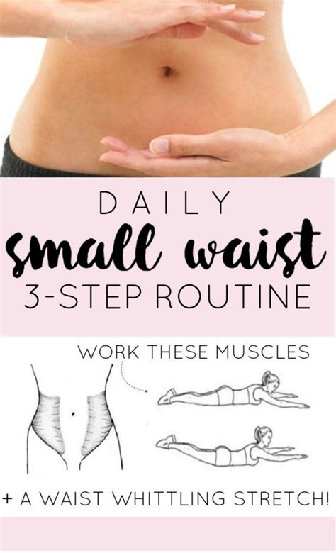 Step Daily Small Waist Workout Routine The Dumbbelle