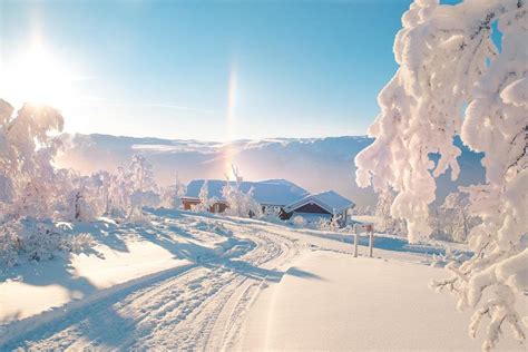 A Winter Morning In Norway Pics
