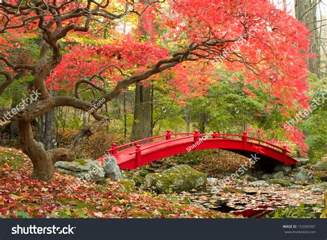 Beautiful Japanese Garden Red Bridge Stock Photo 153304361 Shutterstock