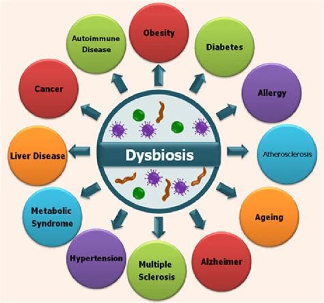 Diseases And Dysbiosis These Medical Complications Can Be Initiated By
