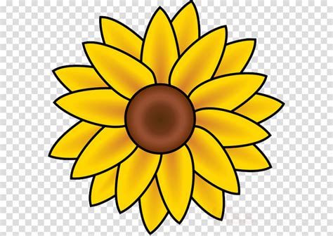 Flower For Hair Transparent Png
