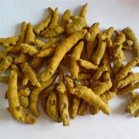 Salem Yellow Turmeric Finger Packaging Size Kg At Rs Kg In