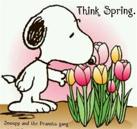 Pin By Joi Gruenberg On Spring Awakening Snoopy Pictures Snoopy Love