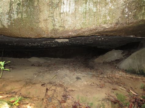 Things to do near bukit batu lebah recreational forest. Green Zone!!!: Bukit Batu lebah, Melaka
