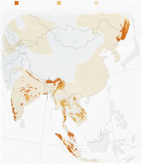 Tiger Farms In Laos Fuel Demand For Tiger Parts On Black Market