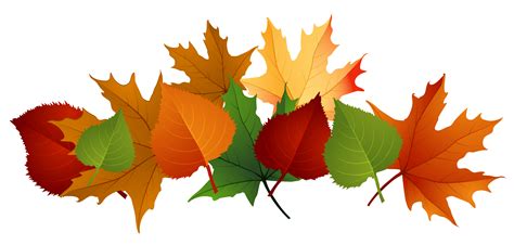 Autumn Leaves Png Images Transparent Free Download