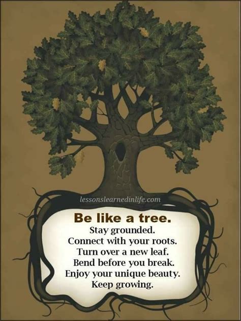 Pin by Sharon M on inspirational | Tree of life quotes, Tree quotes ...