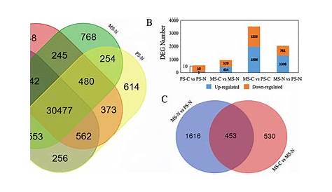 Statistical analysis of gene expression detected by RNA-seq. (A) Venn
