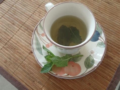 Recharge your west coast style with our delightful 12oz blend of our natural strawberry kiwi sparkling yerba mate ever wonder where the caffeine in energy drinks comes from? Yerba Buena tea | Tea, Yerba, Tea cups
