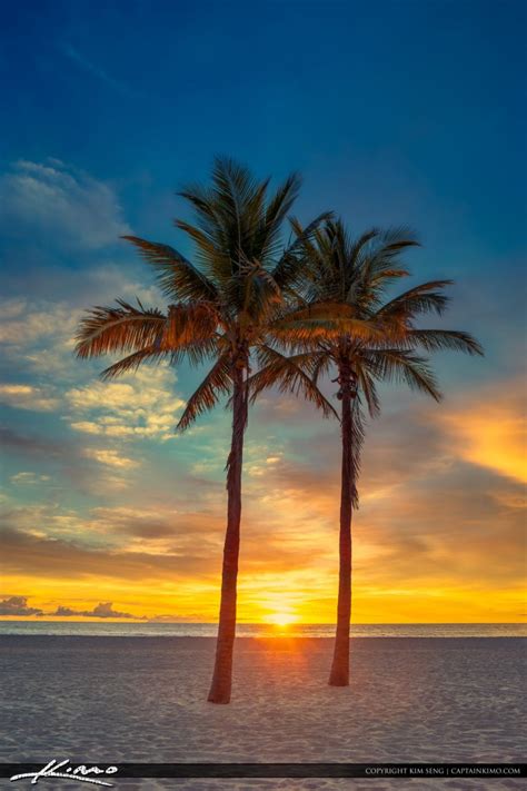 Two Coconut Palm Tree Sunrise At Beach
