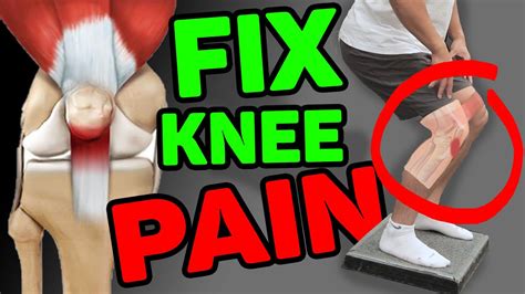 Best Exercises To Fix Patellar Tendonitis Knee Injuries No More KNEE PAIN YouTube