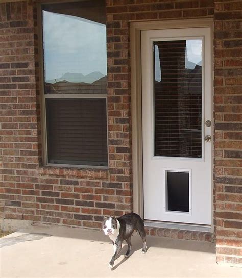 Say Goodbye To Fumbling With Keys Exterior Doors With Built In Pet Door