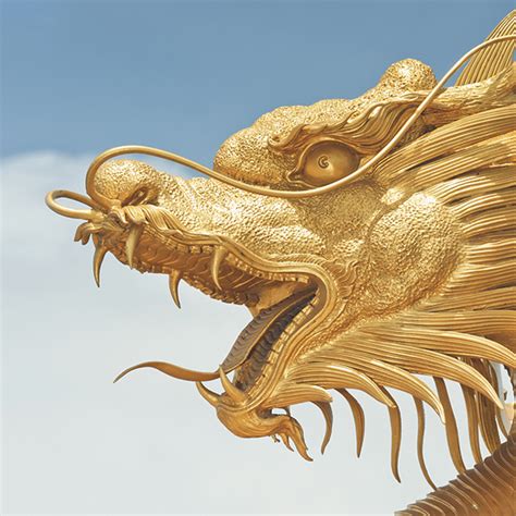 Browse the user profile and get inspired. Chinesische Drache in Europa | thema vorarlberg