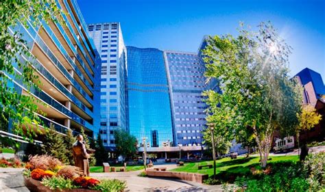 Mayo Clinic Cancer Center National Cancer Institute