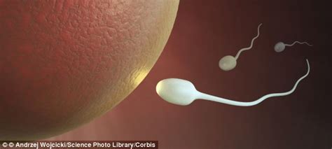 Maybe you would like to learn more about one of these? Stress BEFORE pregnancy triggers genetic changes in a ...