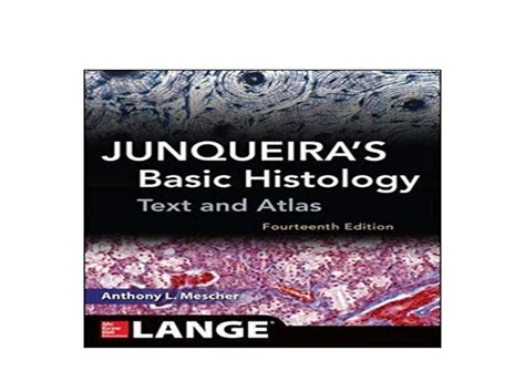 ~ Pdfonline ~ Junqueiras Basic Histology Text And Atlas Fourteenth E