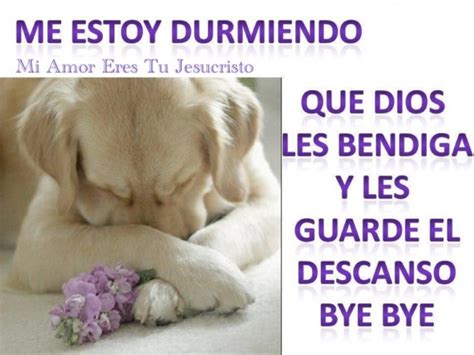 Bonitos Perritos Con Frases De Buenas Noches En Imágenes Para Dedicar