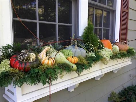 Fall Window Box Decorating Ideas Beautify Outdoor Planters