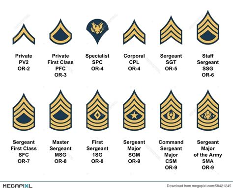 Army Ranks Clipart 20 Free Cliparts Download Images On Clipground 2024