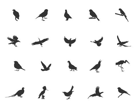 Premium Vector Bird Silhouette Flying Bird Silhouette Bird