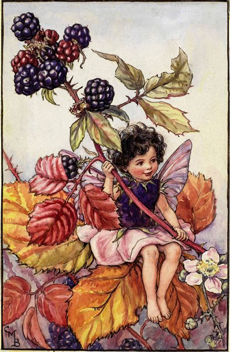 The Blackberry Fairy Flower Fairies