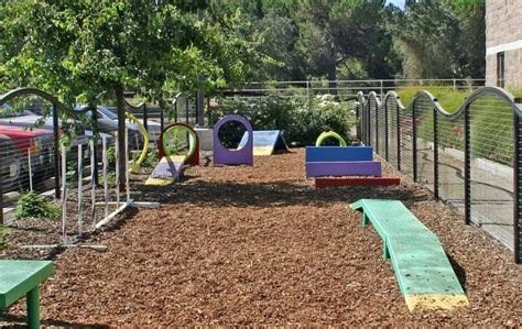 Playground For Our Dogs My Babies Would Love This For Sure Dog