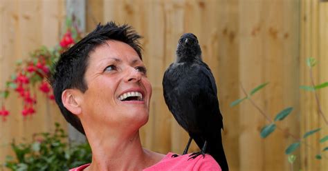 Meet Jake The Crisp Eating Jackdaw Who Thinks His Owners Are His