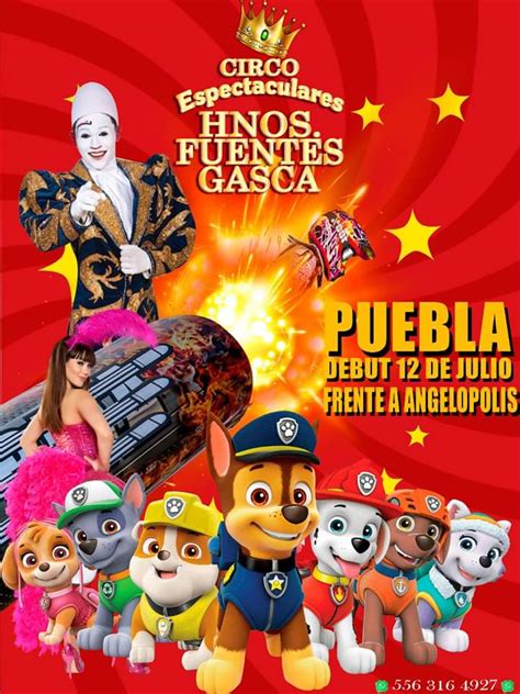 Circo Hermanos Fuentes Gasca En Puebla Gran Debut 12 Julio Liv