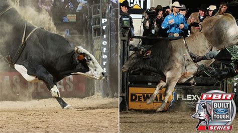 pearl harbor and sweetpro s bruiser s battle define the top 5 bull scores of first half