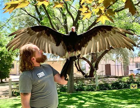 The Birds Of Boise