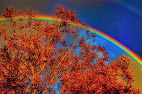 Autumn Rainbow Photograph By Garry Gay Pixels