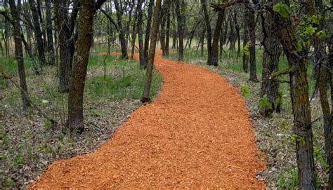 There are many reasons for this. Mulch Walking Path | Garden mulch, Lawn and landscape ...