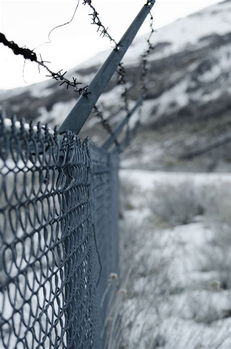 Free Images Water Branch Snow Winter Fence Barbed Wire Wind