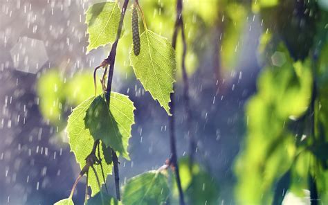 The site owner hides the web page description. 伤感落寞的下雨图片 唯美雨滴壁纸图片 - 【可爱点】