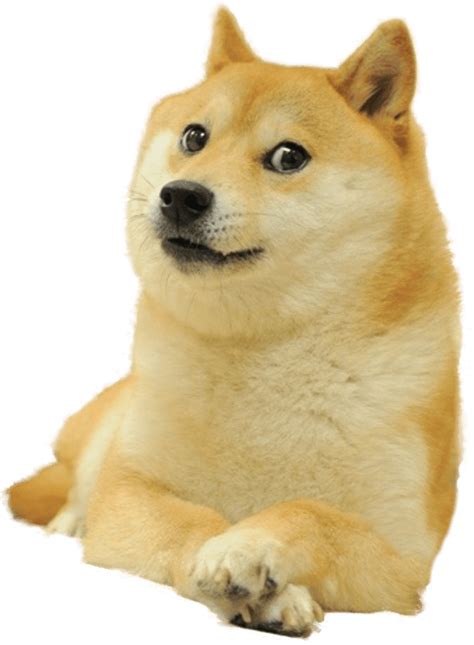 Doge Png Posts Must Contain Doge Or An Edit Of Doge In Some