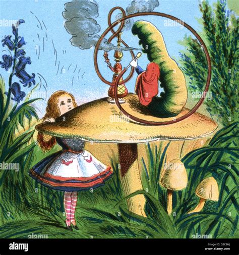 Alice In Wonderland Alice Meets A Caterpillar Sitting On A Mushroom