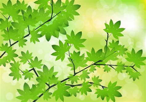 This is a sample of full pack which contains 70+ designs. Green Maple Leaves Vector - Download Free Vectors, Clipart ...
