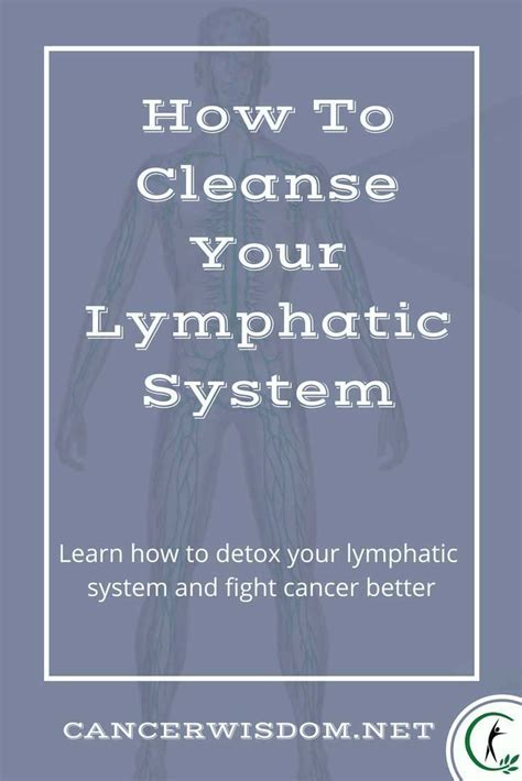 How To Cleanse The Lymphatic System Cancer Wisdom In 2020 Detox