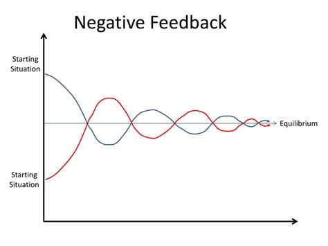 Ppt Positive And Negative Feedback Loops Powerpoint Presentation