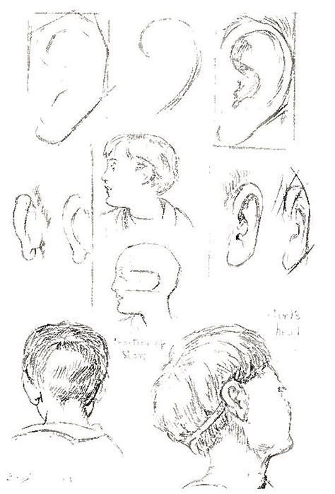 How To Draw Heads Faces Hair And Facial Features Drawing Lessons