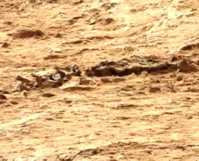Una fotografía de la superficie de marte tomada por la nasa se está popularizando en las redes sociales al mostrar, según algunas personas, un gigantesco cangrejo alienígeno en la entrada de. La NASA publicó foto de un 'gigantesco cangrejo' en Marte ...