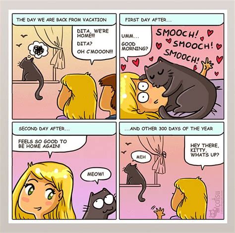 101 comics that purrfectly capture life with cats cat comics cat jokes cats and kittens