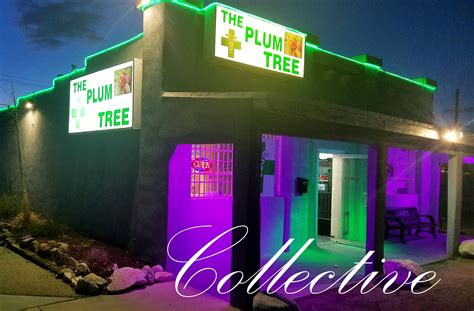 Marijuana Dispensary - The Plum Tree Collective