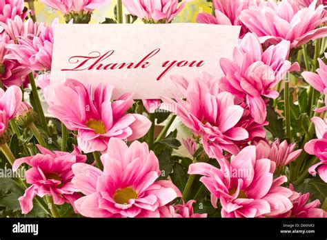Say Thank You On A Background Of Beautiful Flowers Stock Photo Alamy