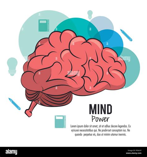 Potencia De La Mente Y El Cerebro Plantilla Con Información Ilustración