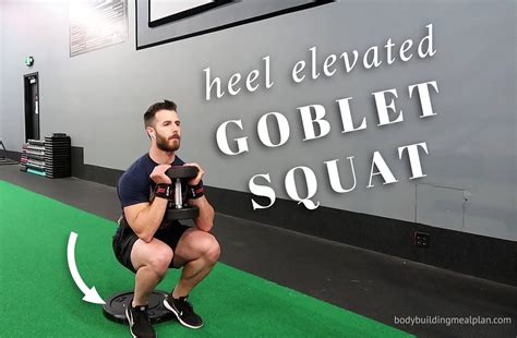 Complete Goblet Squat Exercise Guide With Pics And Videos