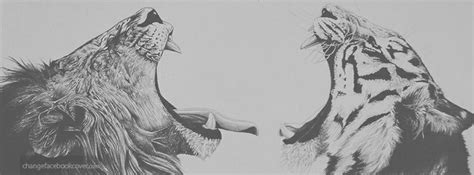 Don't try to draw individual hairs though simply. facebook-cover-tiger-lion-roar-wild-animal-pencil-drawing ...