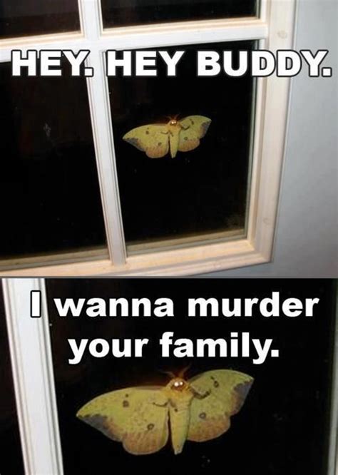 See This Is Why I Have An Irrational Fear Of Moths Its