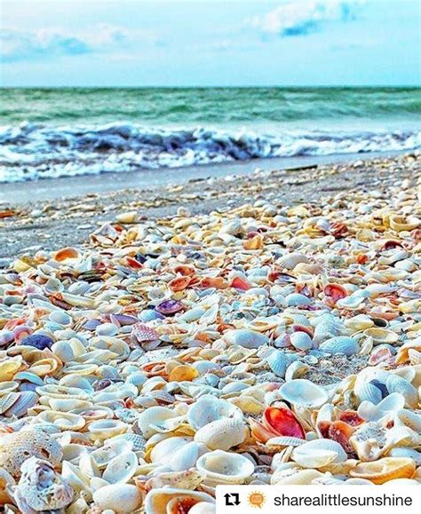 15 Surreal Places Near Tampa You Wont Believe Really Exist Sanibel